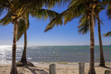 Miami körfezin Key Biscayne manzaraya palmiyeler