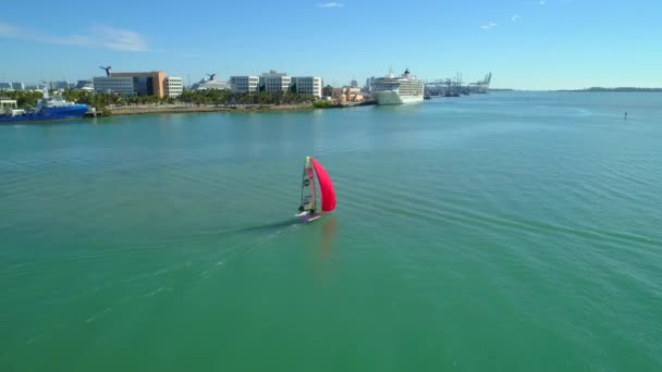 49Er Sailing Sport Vessel Aerial Video Miami — Stock Video