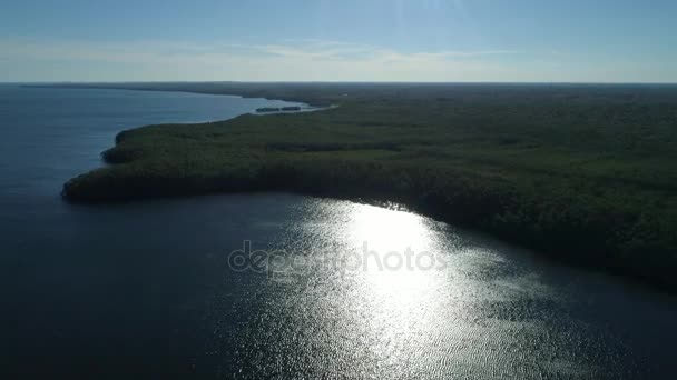 Aerial Nature Preserve Green Bay — Stockvideo