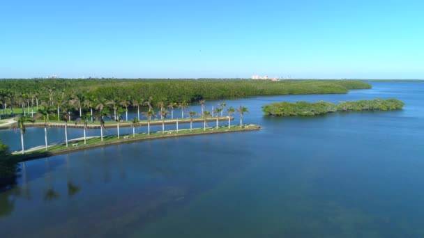 Luchtfoto Video Deering Estate Miami — Stockvideo