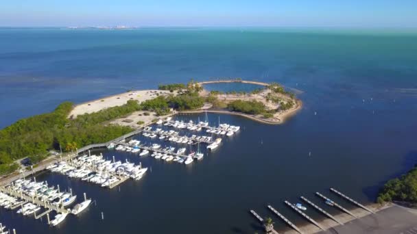 Vídeo Aéreo Matheson Hammock Marina — Vídeo de stock