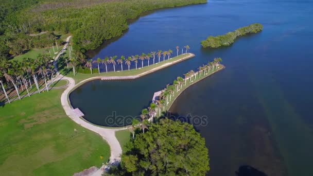 Deering Estate Lawn Miami Aerial Footage — Stock Video
