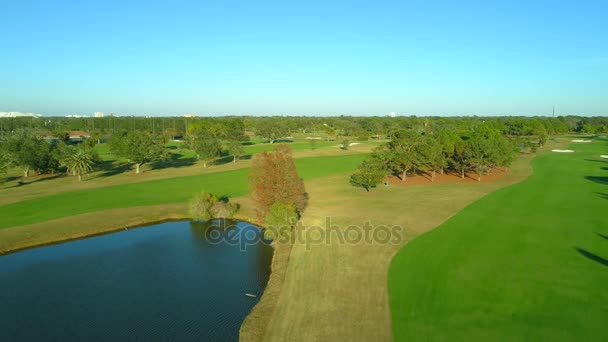 Campo Golfe Aéreo Paisagem Verde Pelúcia Imagens — Vídeo de Stock