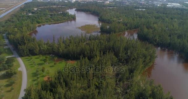 Florida Nature Scene Shot Drone — Stock Video