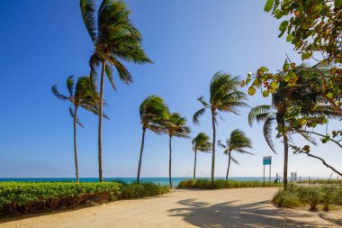 Atlantik ay plaj yürüyüş Bal Harbour Miami Beach Fl