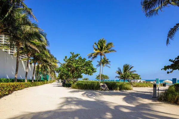 Atlantic Way Bal Harbour Beach FL foto saham — Stok Foto