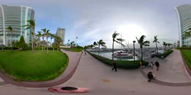360 サンレミバスティオン ストック映像 マイアミ ビーチ マリーナ — ストック動画