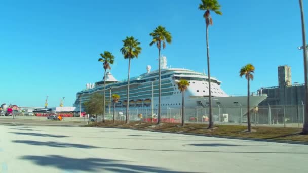 Hareketli Görüntüleri Denizler Bağlantı Noktası Tampa Parlak — Stok video