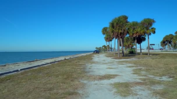 Hareket Video Doğal Tampa Bayfront Palmiye Ağaçları Ile — Stok video