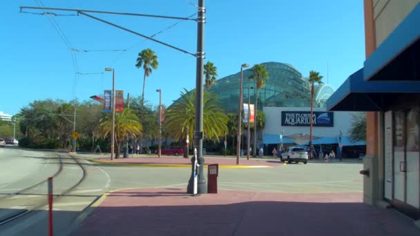 Voorraad Video Florida Aquarium — Stockvideo