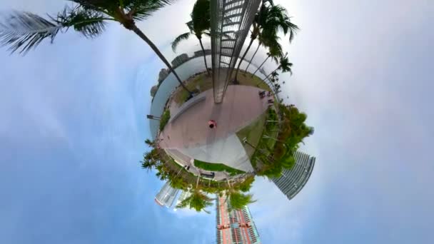 Miami Beach South Pointe Park Scenic Landscape — Stock Video