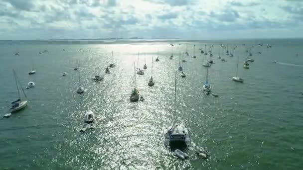 Voiliers Aériens Dans Baie — Video