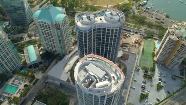 Kokosnusshain Florida Miami Antenne Nach Oben Kippen Zeigen Drohnenaufnahmen — Stockvideo