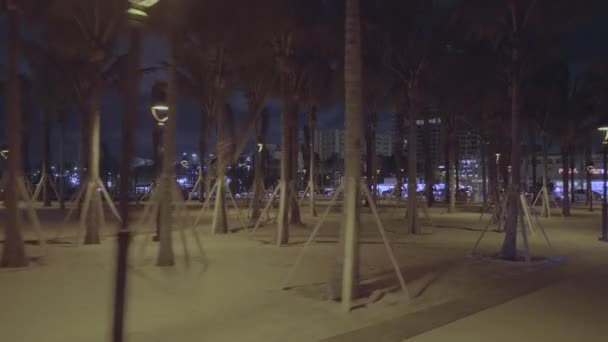 Noční Záběry Fort Lauderdale Beach Park Gimbal Stabilizován — Stock video
