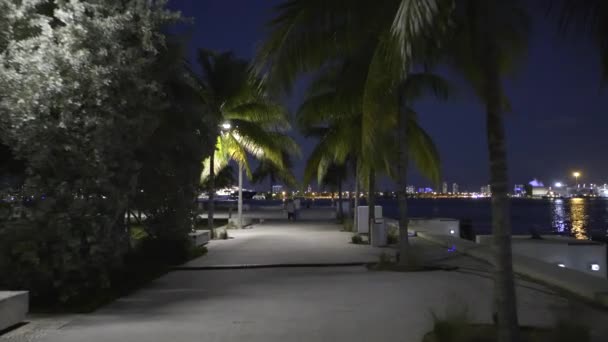 Les Gens Qui Marchent Dans Parc Nuit — Video