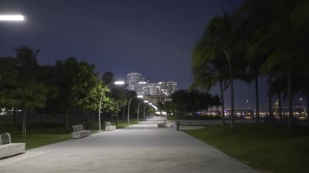 Éjszakai Felvétel Múzeum Park Pálmafák Miami Usa — Stock videók