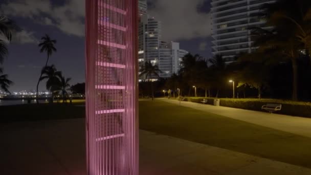 Neonowa Scena Nocna Miami Beach South Pointe Park — Wideo stockowe