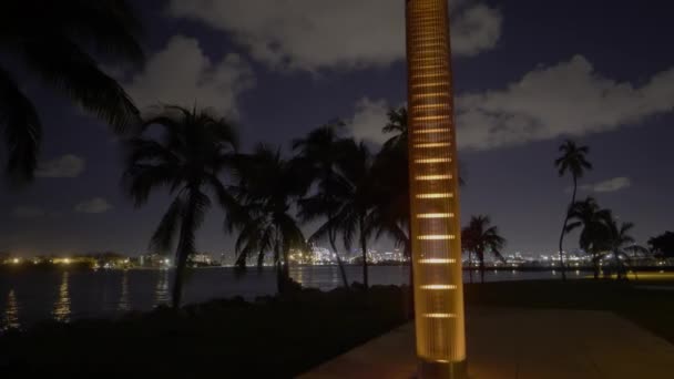 Miami Beach South Pointe Park Neonowe Nocne Niebo — Wideo stockowe