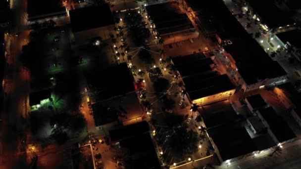 佛罗里达好莱坞大道的假日灯饰 — 图库视频影像