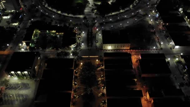 Воздушный Дрон Видео Голливуд Флорида Young Circle Arts Парк — стоковое видео