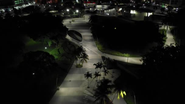 Young Circle Arts Park Aerial Night Video — Stock Video