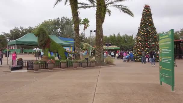 Motion Ground Footage Busch Gardens Tampa Floride Usa — Video