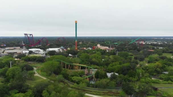 Busch Gardens Tampa Aerial Footage Roller Coasters — Stock Video