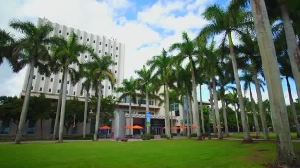 University Miami Richter Library Motion Video — Stockvideo
