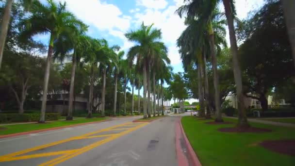 Entree Weg Universiteit Van Miami Palmbomen Rijen — Stockvideo