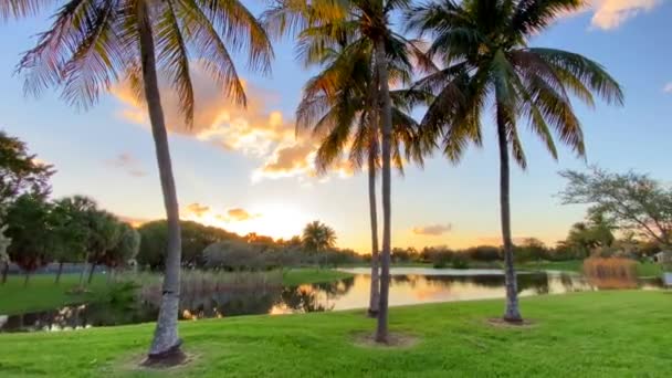 Caminando Por Parque Atardecer 1080 60P — Vídeos de Stock