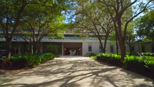 Motion Video Otto Richter Bibliotheek Universiteit Van Miami — Stockvideo