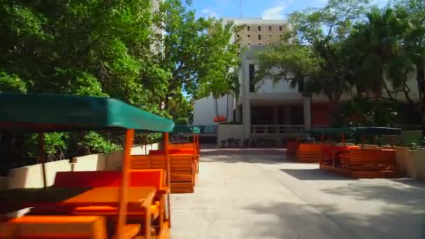 Touring University Miami Kampus — Wideo stockowe