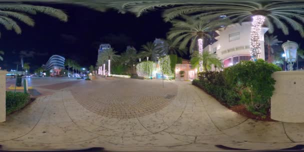 Night 360 Video Holiday Lights Miami Beach Palm Trees Spherical — Stock Video