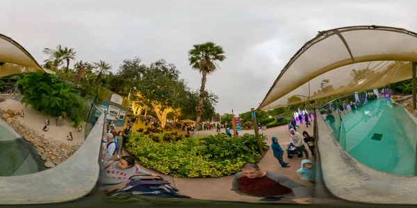 Punguin exposición en Busch Gardens Tampa FL 360 equirect esférico — Foto de Stock