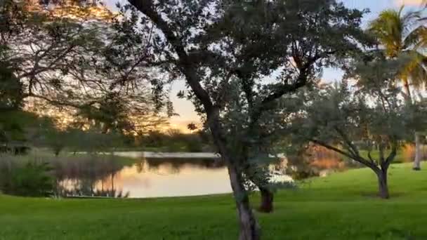 Περπατώντας Μέσα Από Πάρκο Λίμνη Ηλιοβασίλεμα Σκηνή — Αρχείο Βίντεο