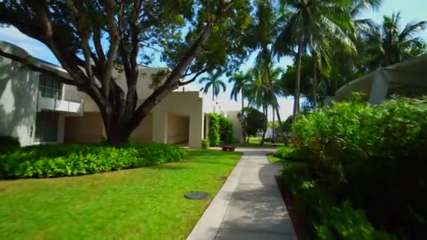 Motion Video Universidad Miami — Vídeos de Stock