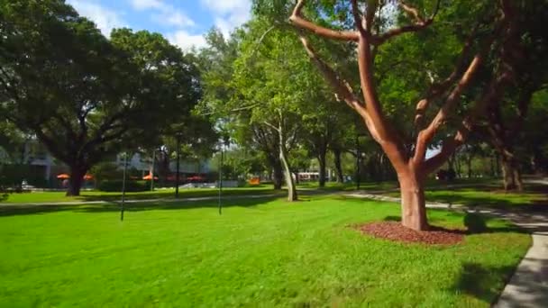 Πολύχρωμο Τοπίο Πανεπιστήμιο Του Μαϊάμι Περιοδεία Βίντεο Κίνησης — Αρχείο Βίντεο
