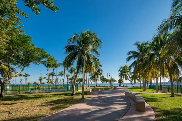 Színes Fotó Margaret Pace Park Miami — Stock Fotó