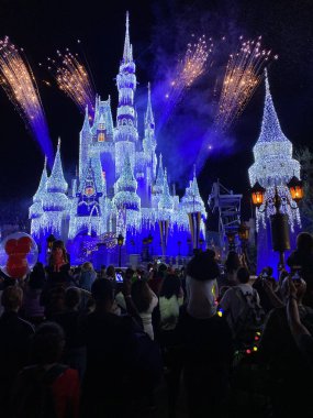 Sihirli Krallık Şatosu 'nda bayram havai fişekleri Walt Disney World Orlando Florida gece fotoğrafı