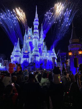 Sihirli Krallık Şatosu 'nda bayram havai fişekleri Walt Disney World Orlando Florida gece fotoğrafı