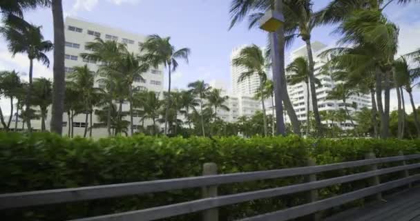 Miami Beach Resorts Visto Desde Paseo Marítimo Gimbal Estabilizado Material — Vídeo de stock