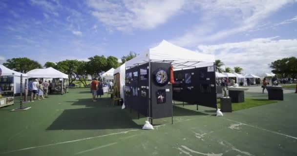 Выставка Искусства Скульптуры Miami Beach Haulover Park — стоковое видео