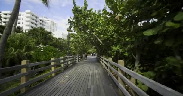 Pasarela Madera Miami Beach Con Cámara Estabilizada Gimbal — Vídeo de stock