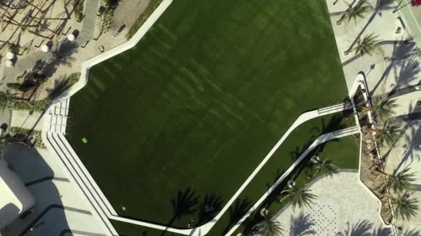 Subida Aérea Sobre Campo Parque Verde — Vídeo de Stock