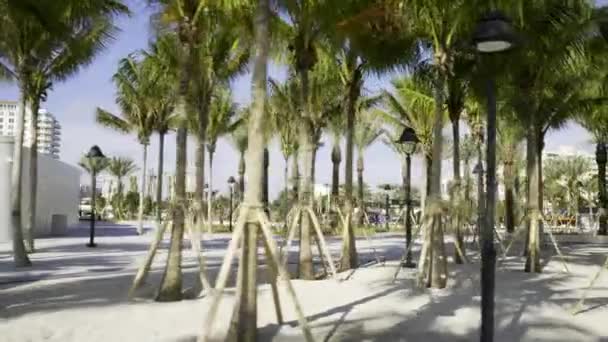 New Park Fort Lauderdale Beach — Stock Video