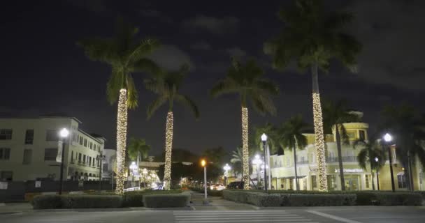 Palmbomen Met Kerstverlichting Hollywood Florida — Stockvideo