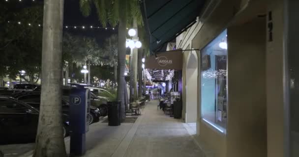 Hollywood Boulevard Arts Dan Distrik Perbelanjaan Motion Video — Stok Video