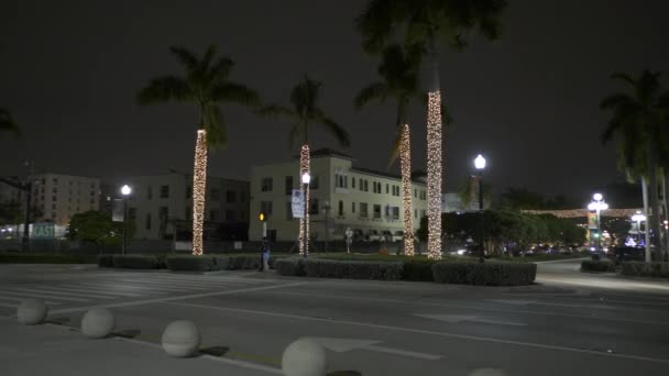 Palmen Mit Weihnachtsbeleuchtung Umhüllt — Stockvideo