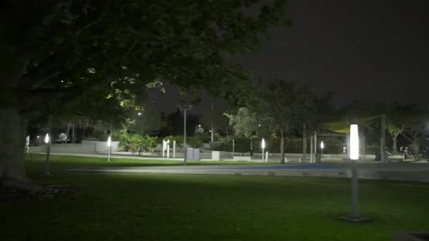 Night Motion Video Junger Kreis Kunstpark Hollywood — Stockvideo
