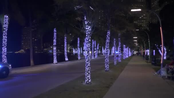 Cena Noturna Bayfront Park Downtown Miami — Vídeo de Stock